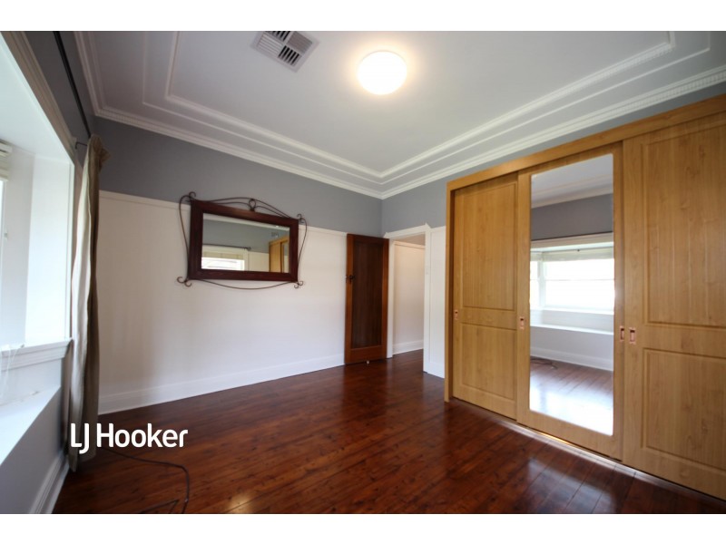 17 Macgregor Street, Croydon NSW 2132