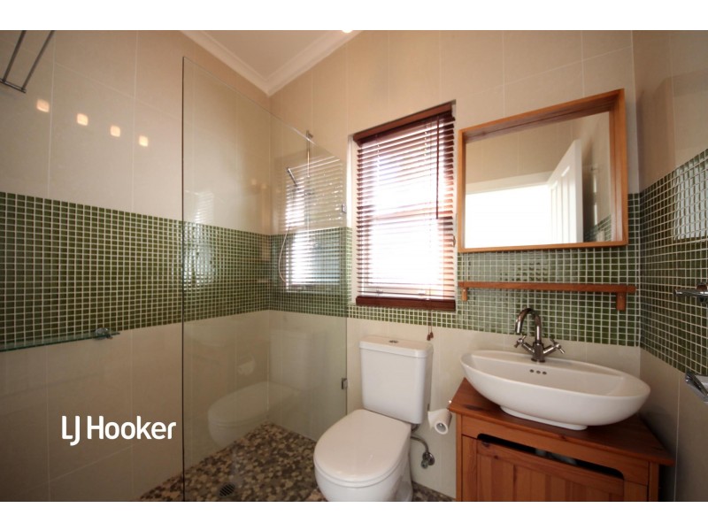 17 Macgregor Street, Croydon NSW 2132