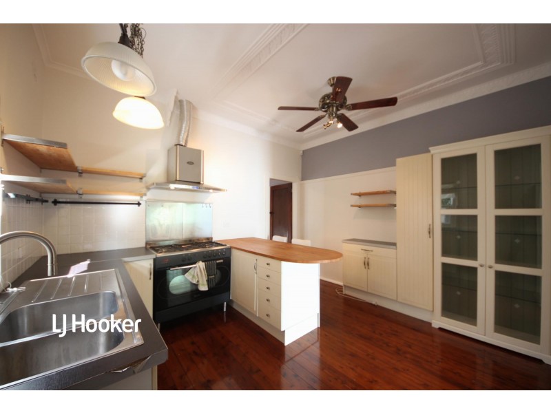 17 Macgregor Street, Croydon NSW 2132
