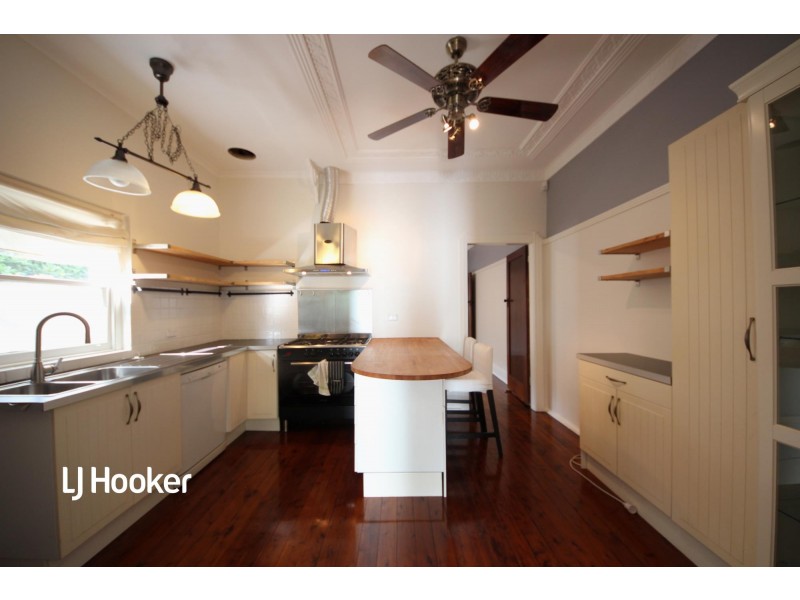17 Macgregor Street, Croydon NSW 2132