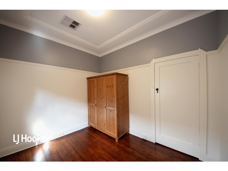 17 Macgregor Street, Croydon NSW 2132