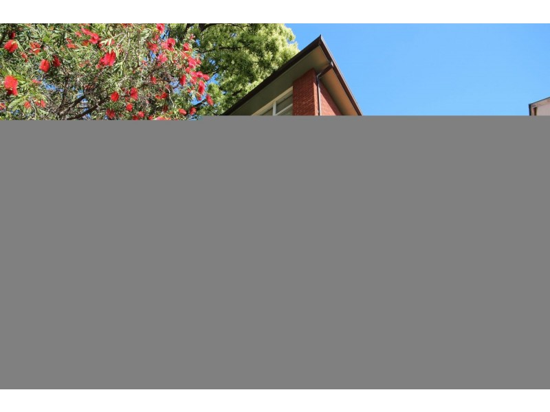 1/114 Croydon Road, Croydon NSW 2132