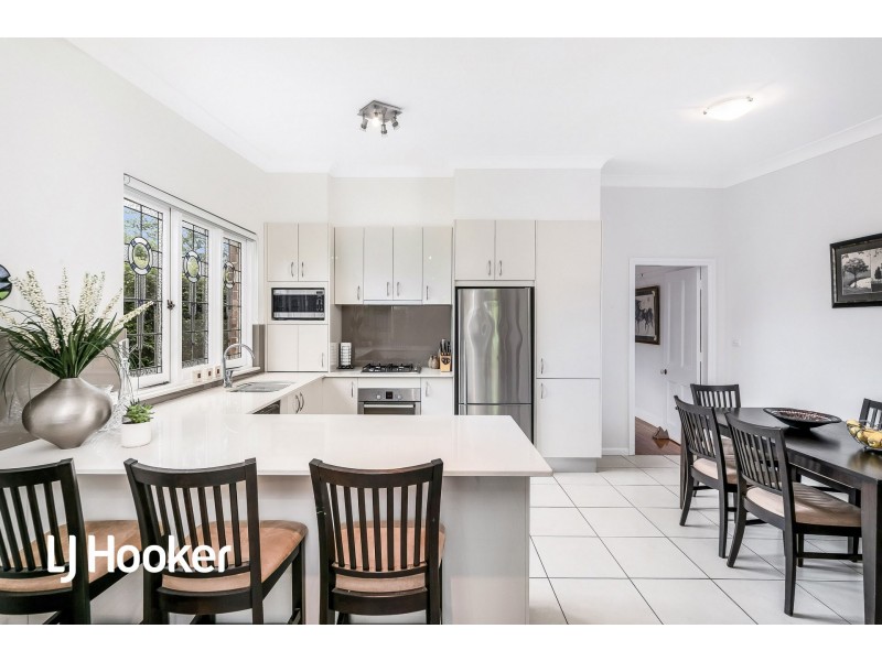 20 Cantor Street, Croydon NSW 2132