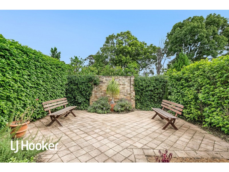 20 Cantor Street, Croydon NSW 2132