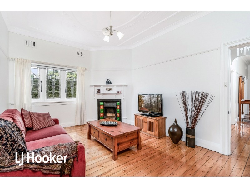 20 Cantor Street, Croydon NSW 2132