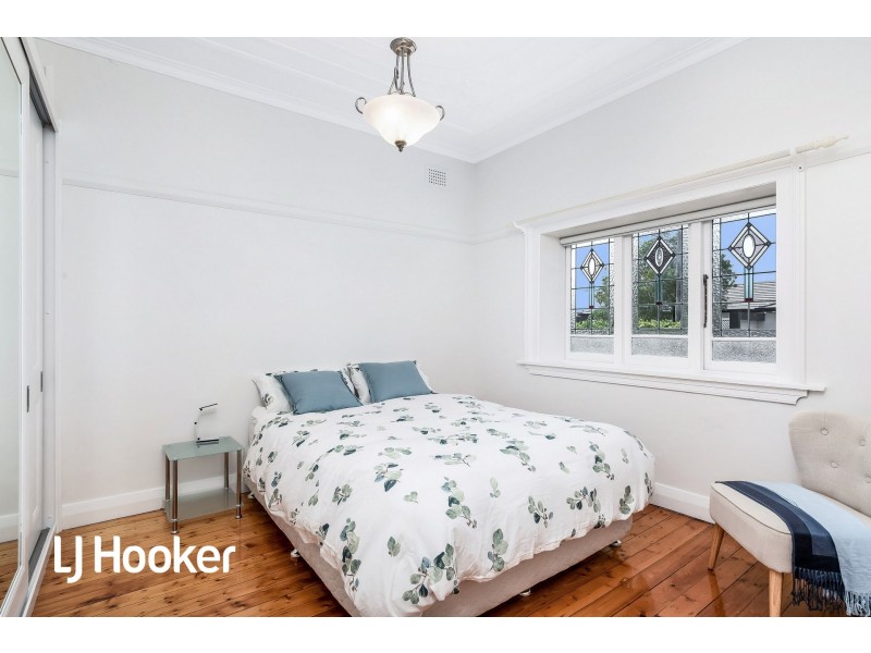 20 Cantor Street, Croydon NSW 2132