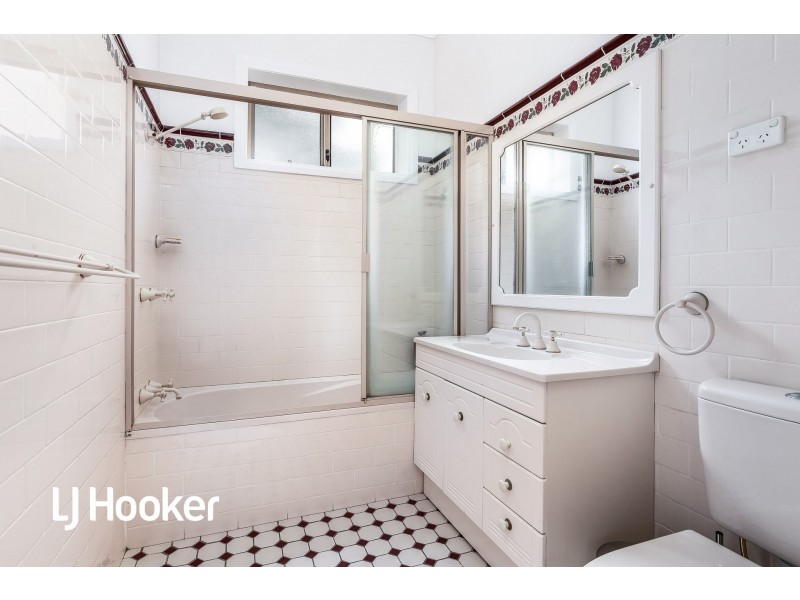 20 Cantor Street, Croydon NSW 2132