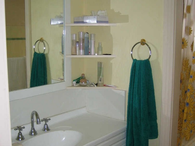 12 Wright Street, Croydon NSW 2132