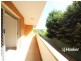 35 Charlotte Street, Ashfield NSW 2131