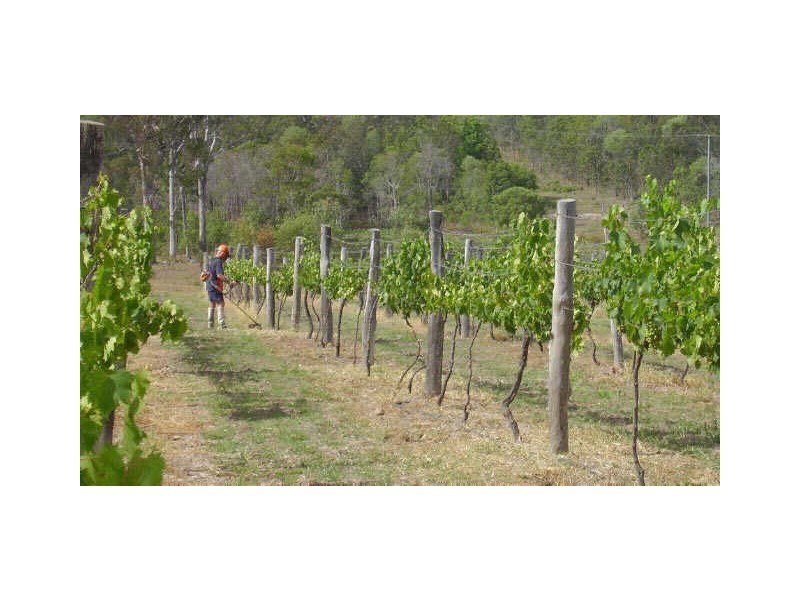 COMM SALE/131 Roberts Road, Amamoor QLD 4570