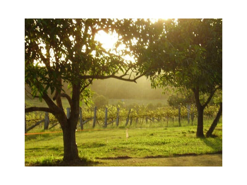 COMM SALE/131 Roberts Road, Amamoor QLD 4570