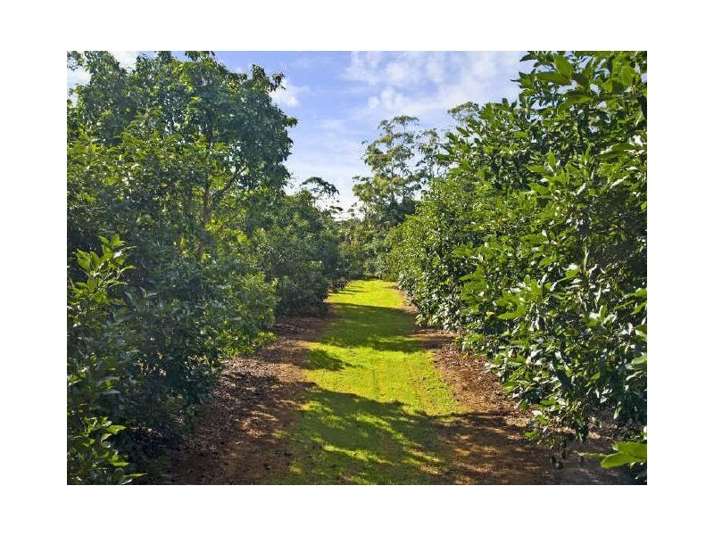Mapleton QLD 4560
