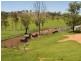 Kawana Island QLD 4575