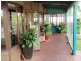 Maleny QLD 4552