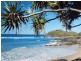 Pacific Paradise QLD 4564