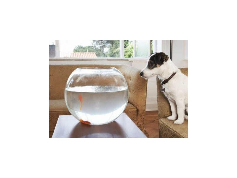 Kawana Island QLD 4575