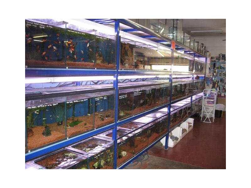 Kawana Island QLD 4575