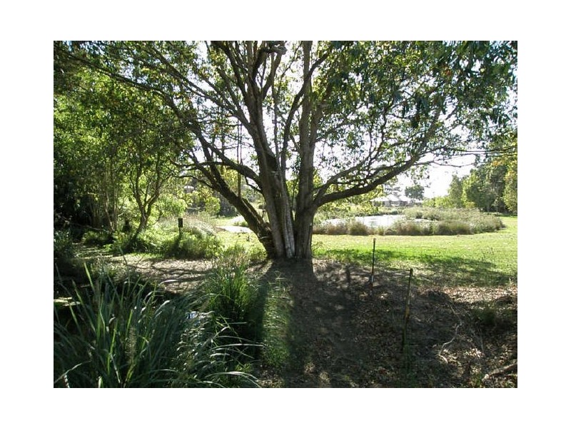 Kawana Island QLD 4575