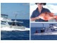 Kawana Island QLD 4575