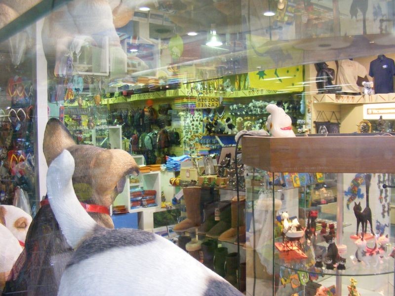 58 Lake Street, Cairns QLD 4870