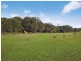 31 Halbert Close, Dimbulah QLD 4872
