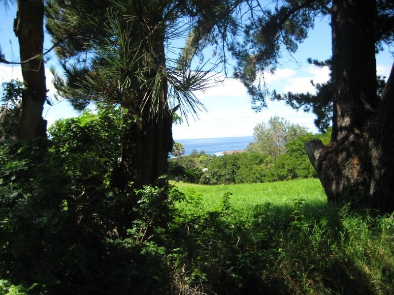 8/154 Fern Street, Gerringong NSW 2534