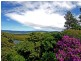 13 Hoolong Avenue, Kiama Downs NSW 2533