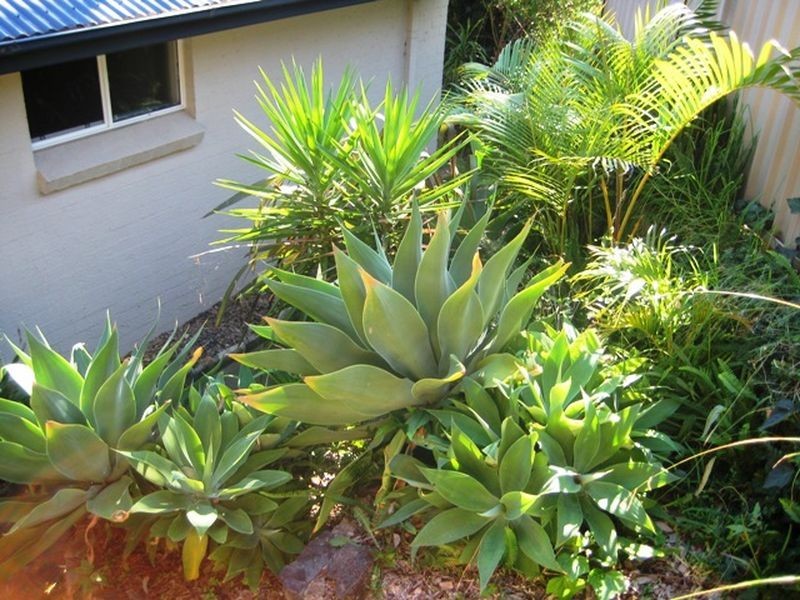 11 Tanner Place, Kiama NSW 2533