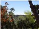 12 Kalang Road, Bombo NSW 2533