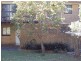 12 Kalang Road, Bombo NSW 2533