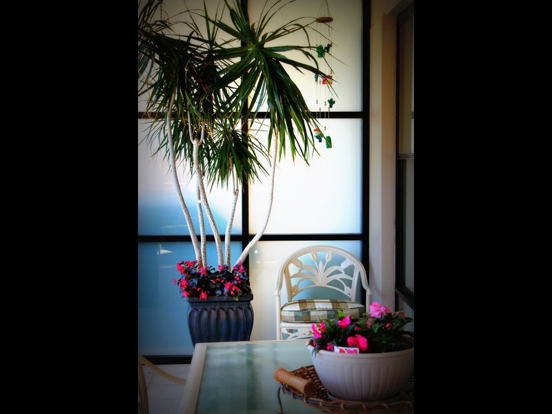 7/64 Manning Street, Kiama NSW 2533