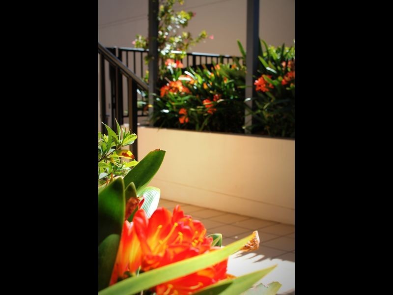 7/64 Manning Street, Kiama NSW 2533