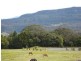 Lot 1 Williams Road, Bombo NSW 2533
