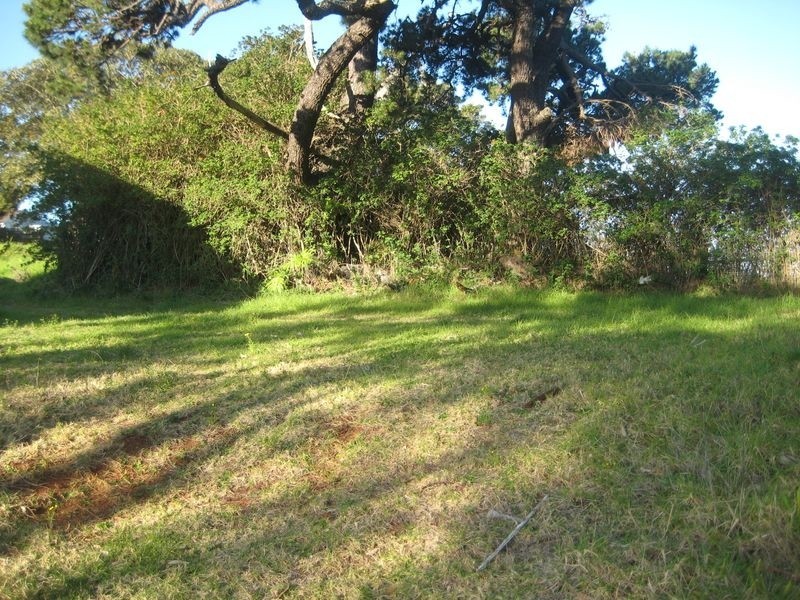 154 Fern Street, Gerringong NSW 2534