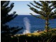 17 Tingira Crescent, Kiama NSW 2533
