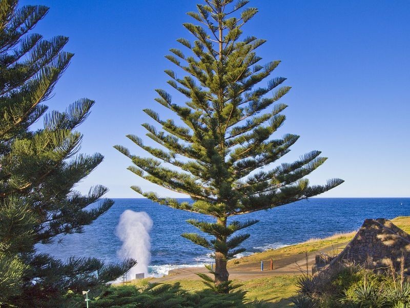 17 Tingira Crescent, Kiama NSW 2533