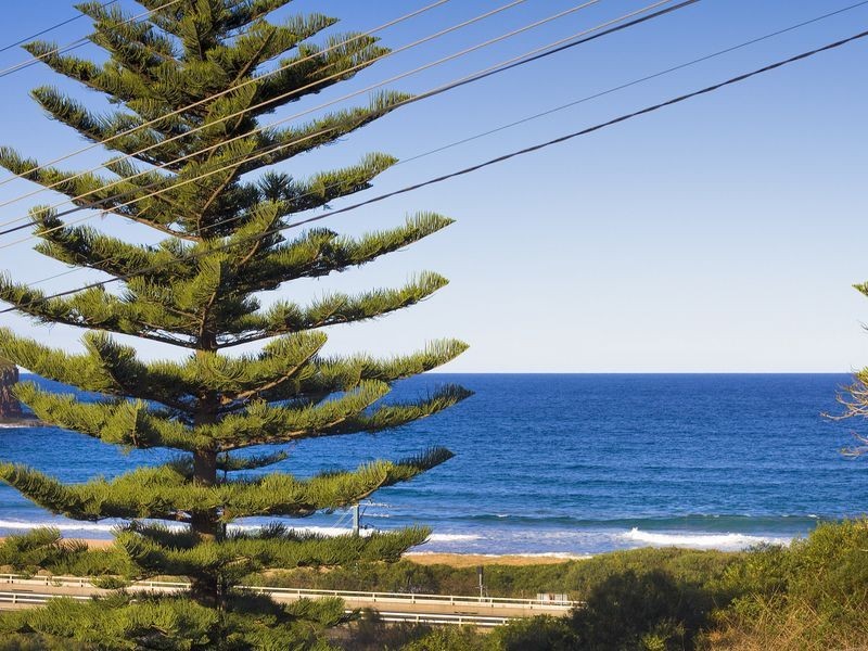 14 Hutchinson Street, Bombo NSW 2533