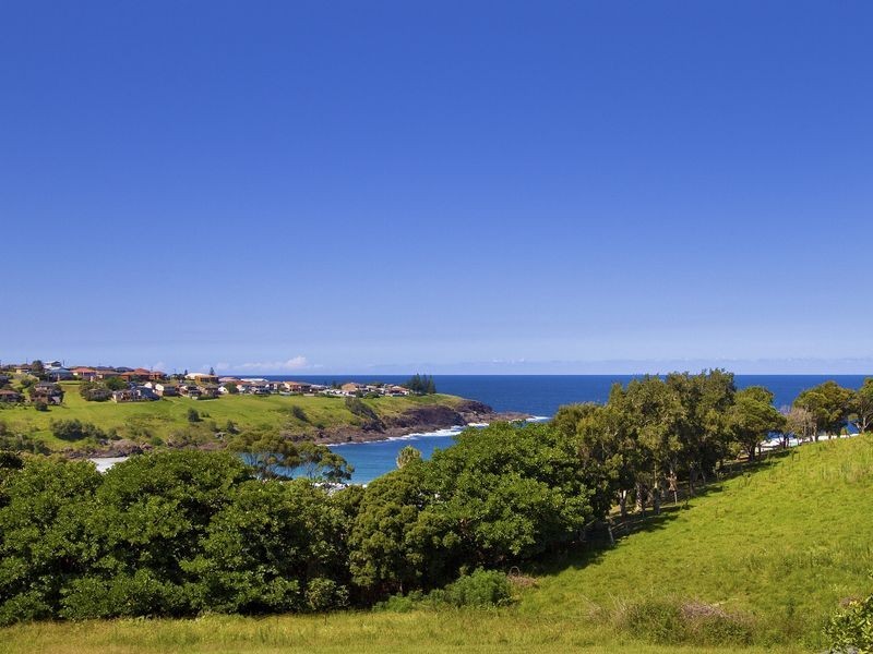 59 Attunga Avenue, Bombo NSW 2533