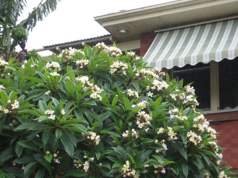 122a Manning Street, Kiama NSW 2533