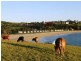 16 Kaleula Crescent, Kiama NSW 2533