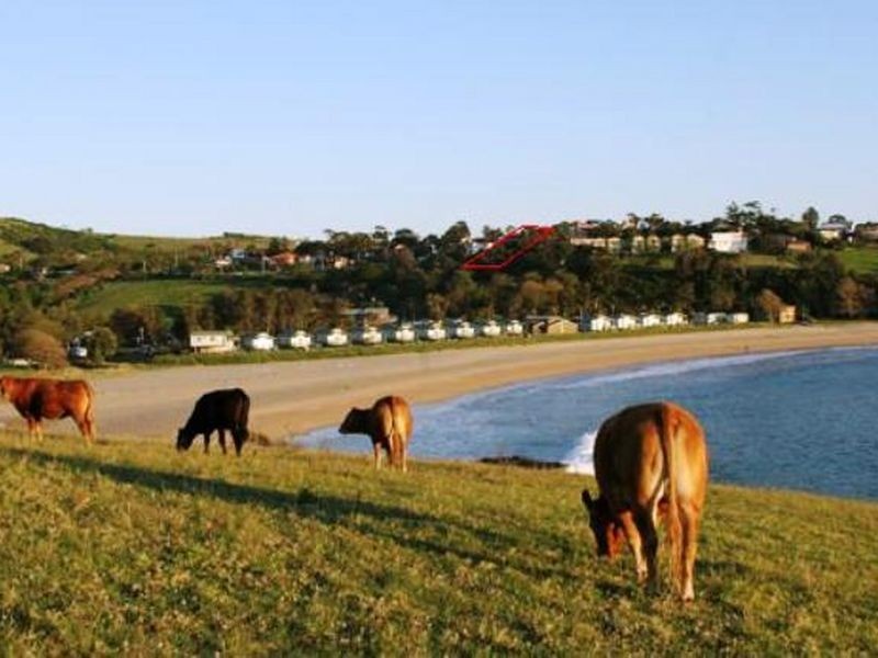 16 Kaleula Crescent, Kiama NSW 2533