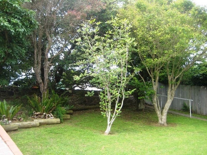 16 Kaleula Crescent, Kiama NSW 2533