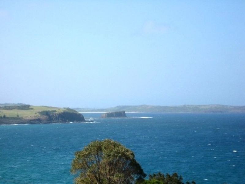 40 Cathedral Rocks Avenue, Kiama Downs NSW 2533