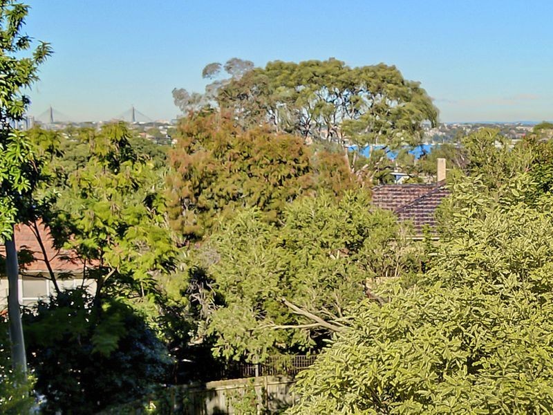 50 Kingslangley Road, Greenwich NSW 2065