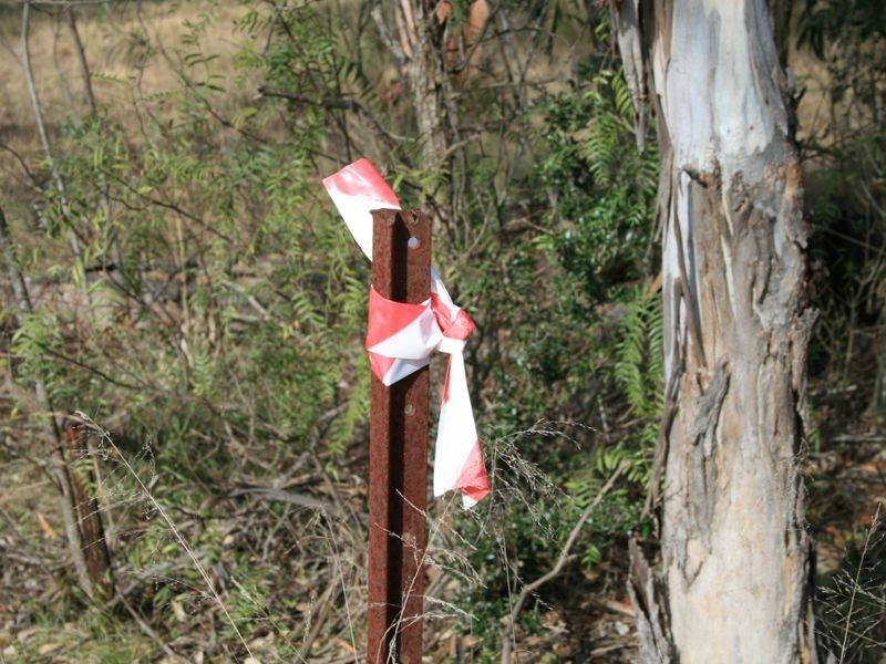 Lot 4 Elliott Street Pratten via, Warwick QLD 4370