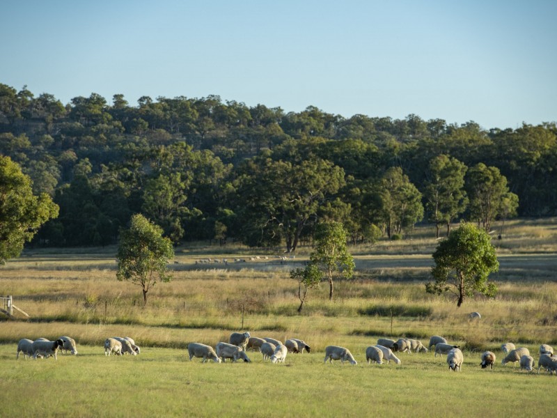 1929 Texas Road, Stanthorpe QLD 4380