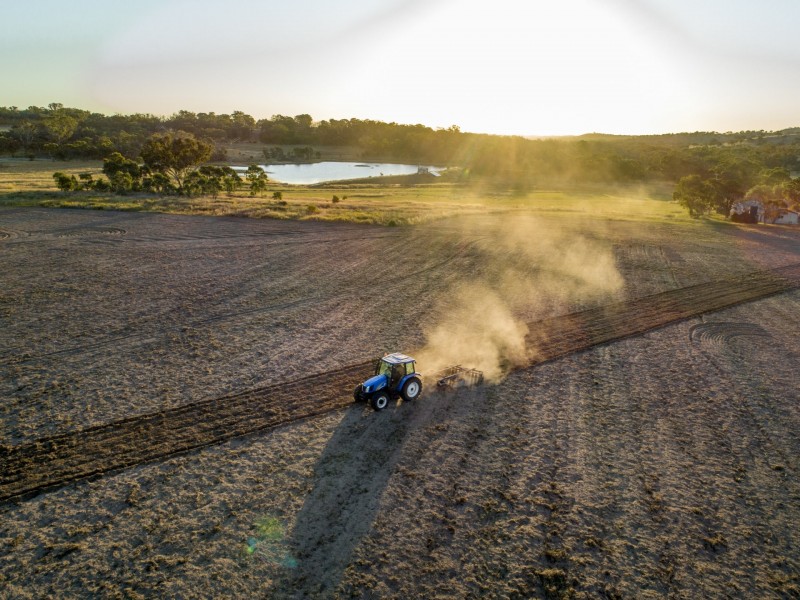 1929 Texas Road, Stanthorpe QLD 4380