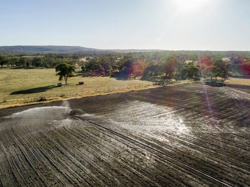 1929 Texas Road, Stanthorpe QLD 4380