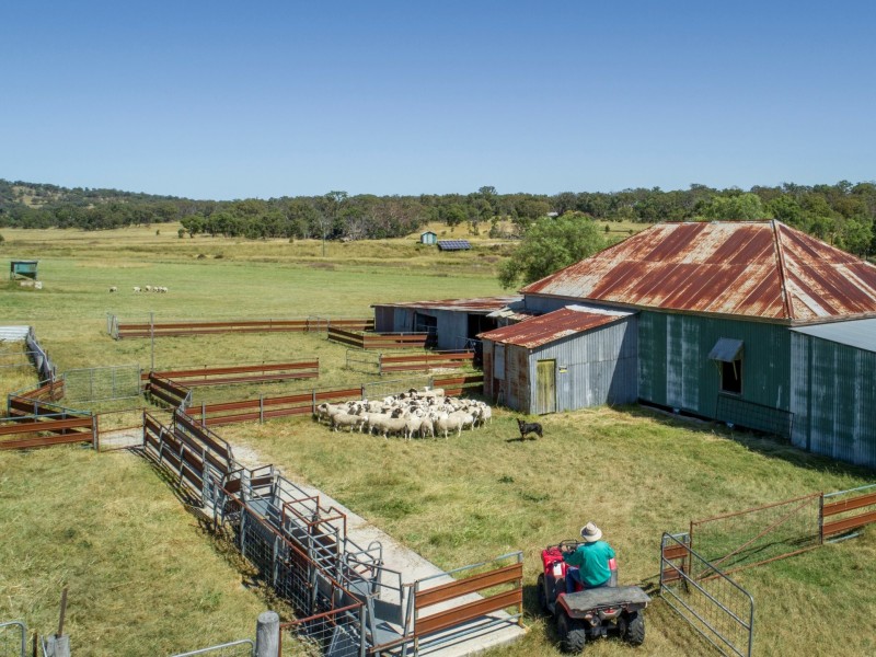 1929 Texas Road, Stanthorpe QLD 4380