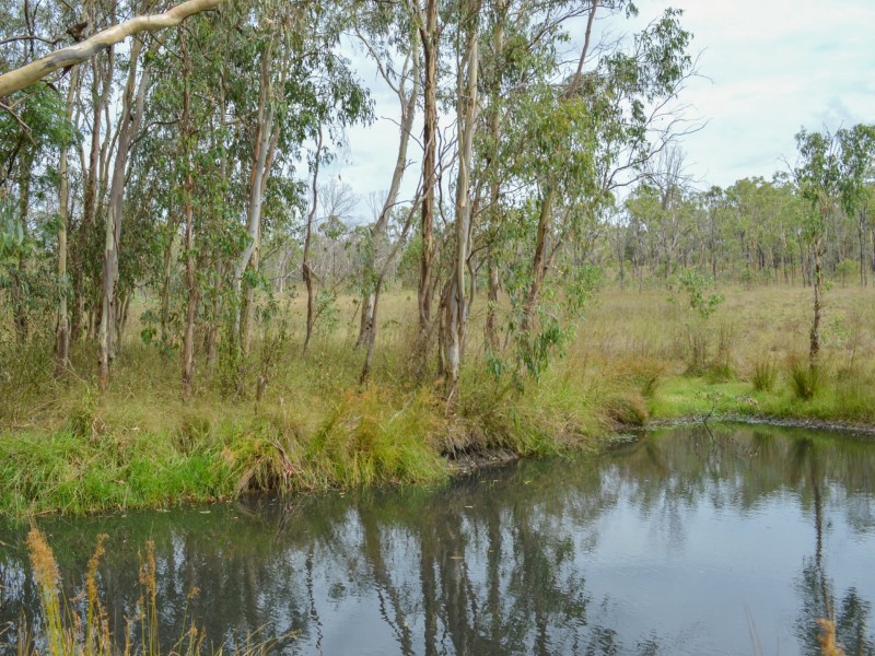 Lot 49 Leyburn – Cunningham Road, Pratten QLD 4370